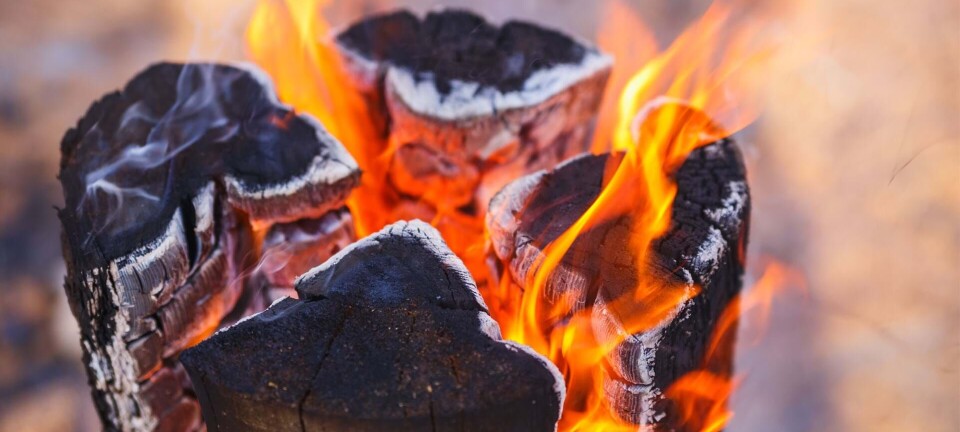 Sådan laver du en finsk fakkel