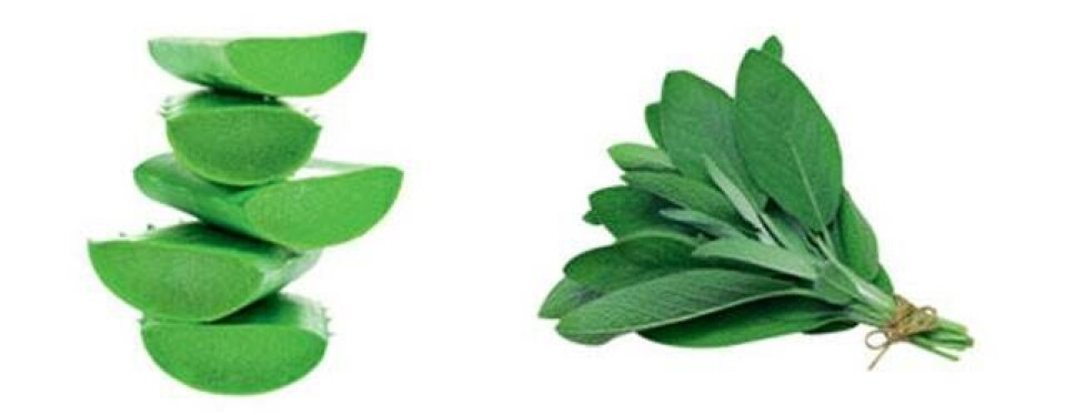8 geniale superfoods
