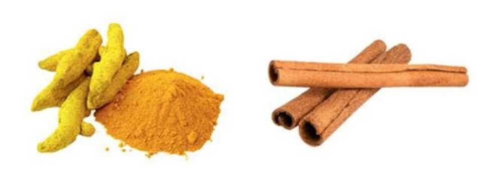 8 geniale superfoods