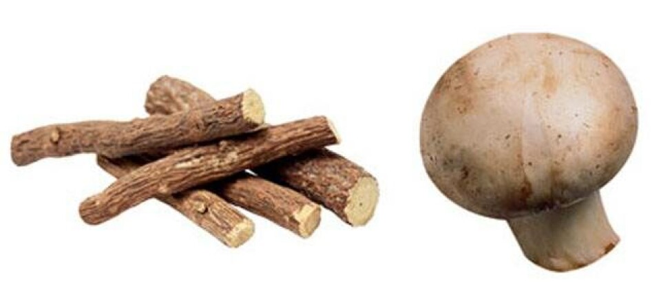 8 geniale superfoods