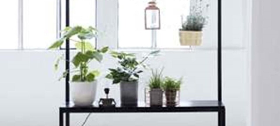 8 fund: Indret med flora og fauna