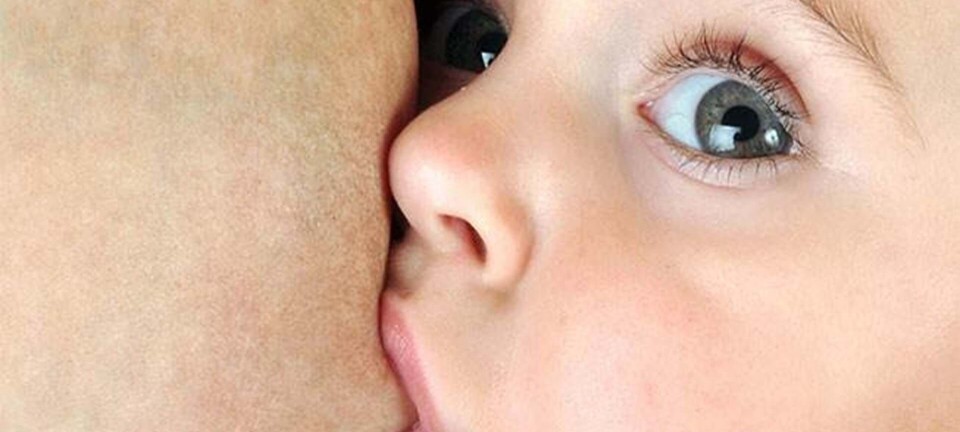 Amning: Må mælken smage af chili?