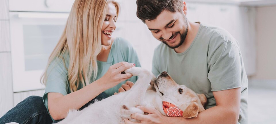 Skal vi levere vores elskede hund retur?