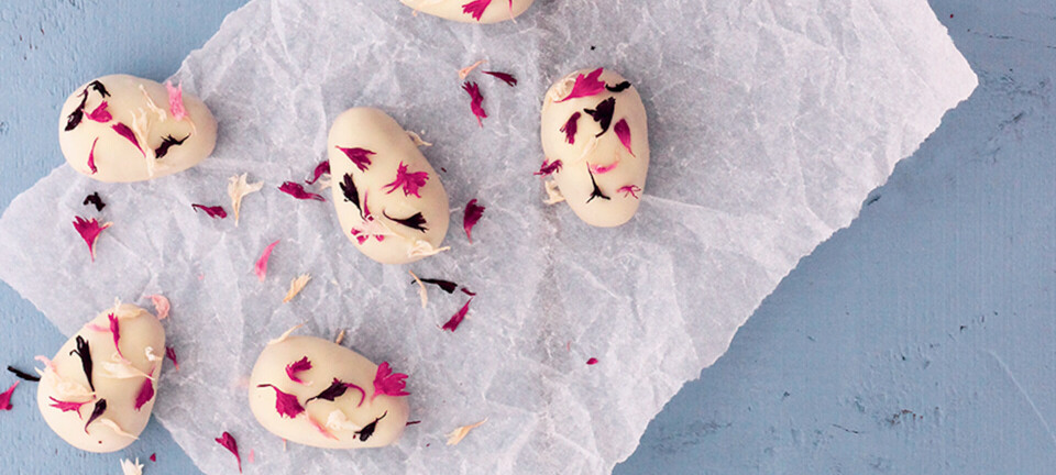 Påskeæg med smag af hvid chokolade, brombær og lakrids