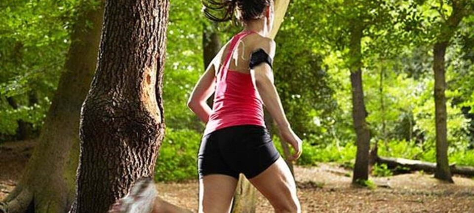 Sådan kommer du til at løbe maraton