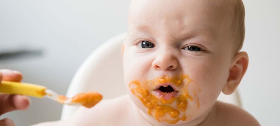 Den store madguide: Det må din baby spise