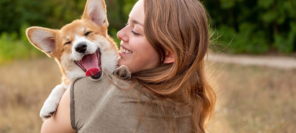 Hundeejere lever længere, men hvad giver vuffer et lykkeligt liv? Forskere har et bud