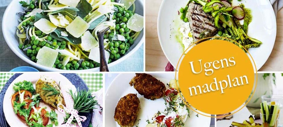 Grillet tun med sommersalat, flanksteak med fritter & grøn pasta med nye ærter: Her er ugens madplan til dig