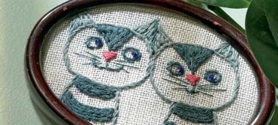 Brodér to søde katte i ramme