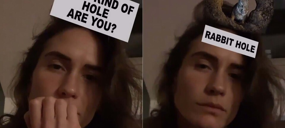 Essay af Emma Rosenzweig: Blåt blod til alle på Blågårds Plads