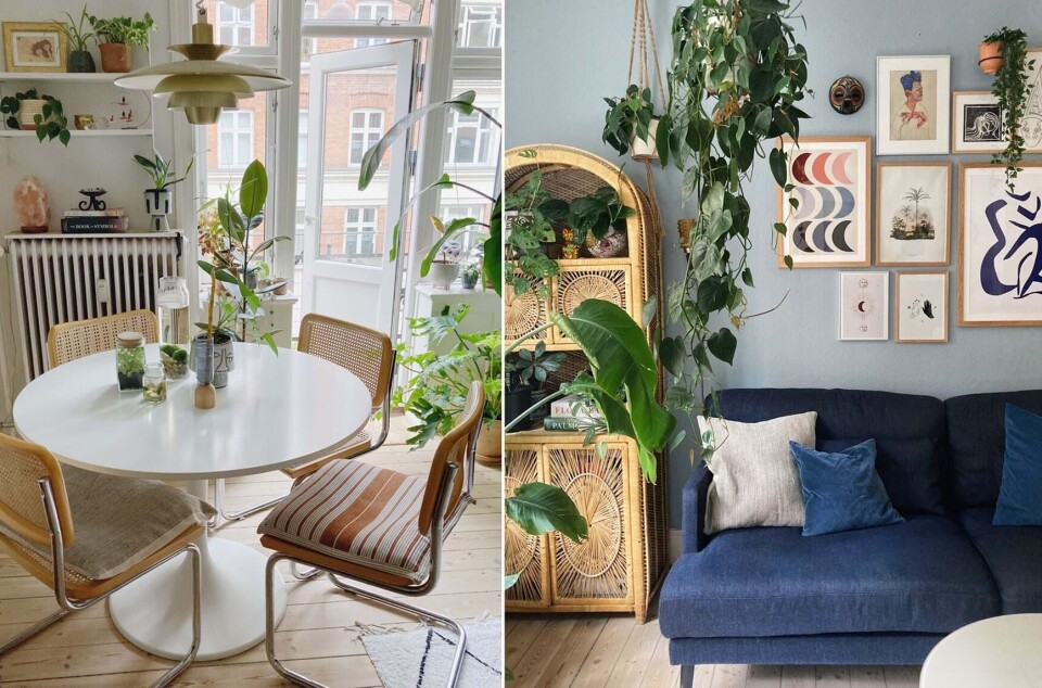Louise om sit boho-hjem på Østerbro: ”Jeg tjekker altid, om jeg kan købe ting brugt, før jeg køber nyt”