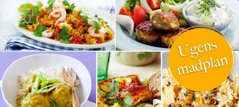 Boller i karry, italiensk æggekage & nem pasta med cremet sauce: Her er ugens madplan til dig