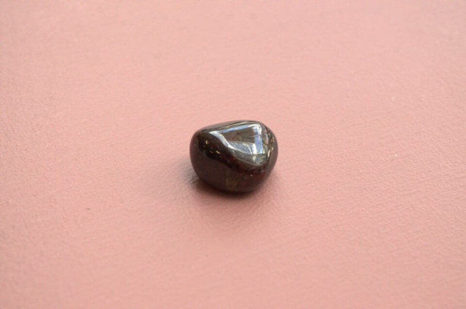 Skorpionen granat