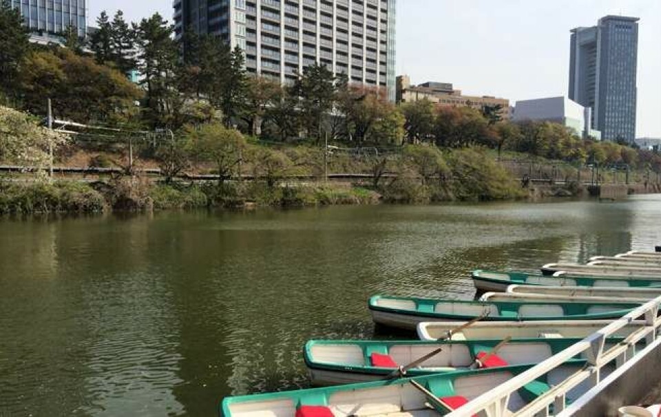 5 spots med udsigt i Tokyo