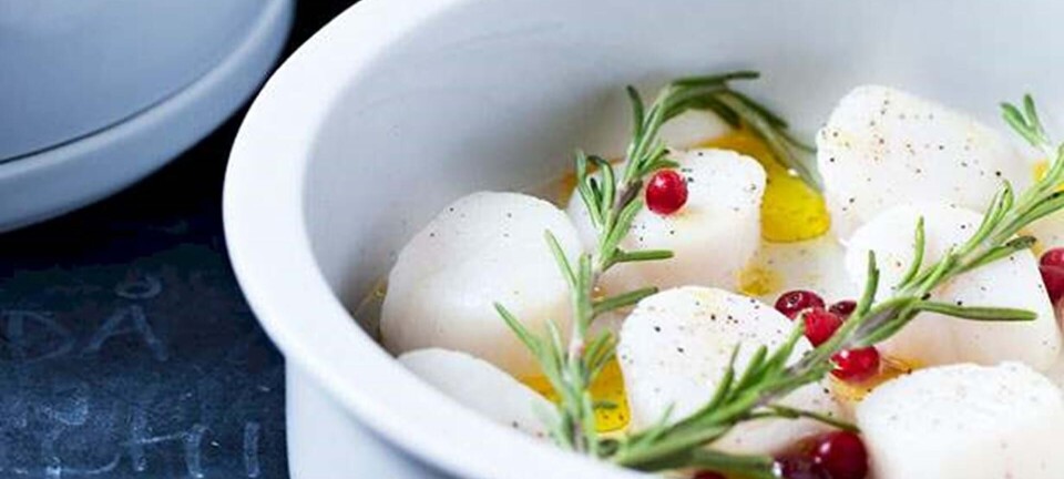 Kammuslinger med æbler og blommer og gul mayonaise