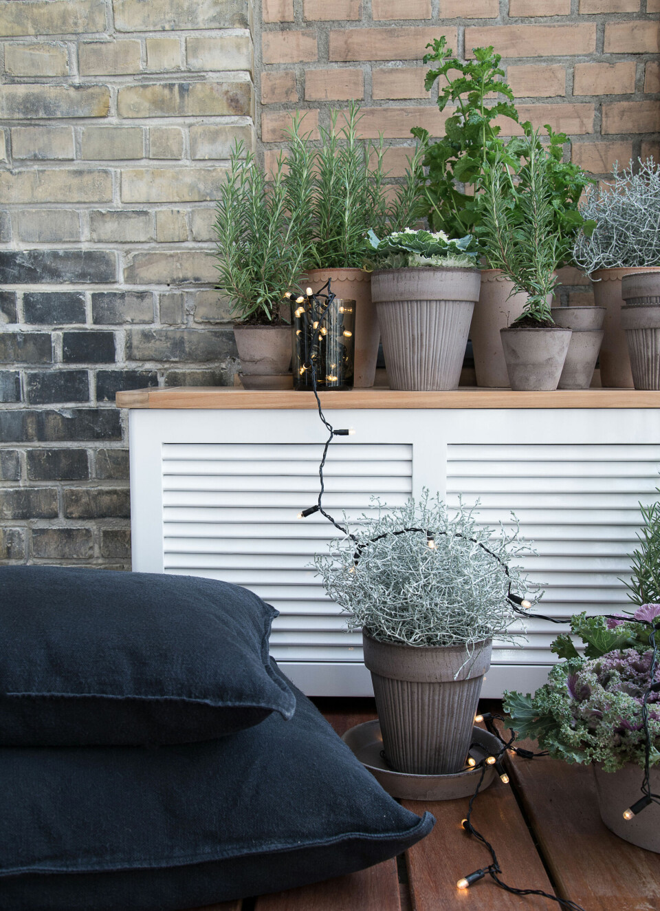 Vælg nogle vinterhårdføre krydderurter til din altan.