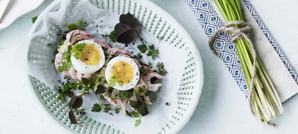 Rejemadder med hjemmerørt mayonnaise