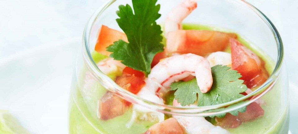 Kold avocadosuppe med rejer