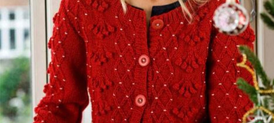 Strik en flot trøje til jul