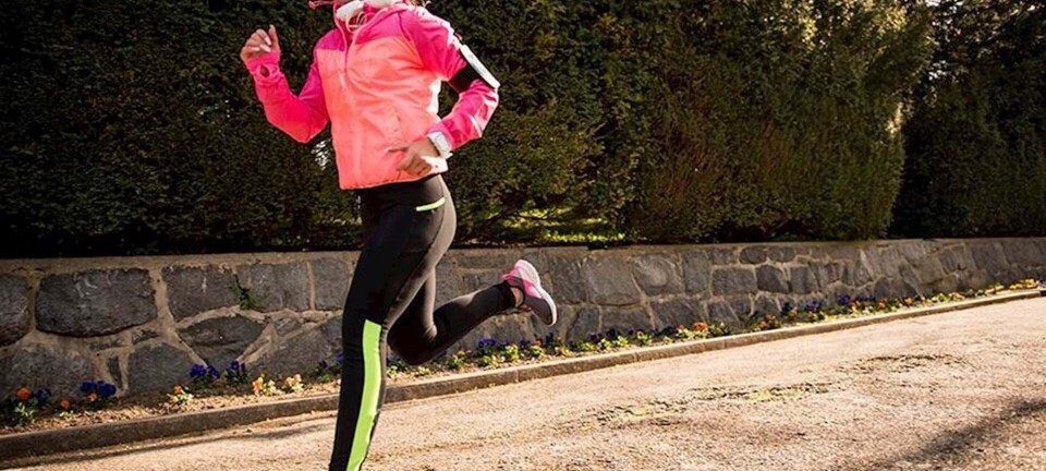 Løbeprogram: Sådan bliver du klar til at løbe maraton