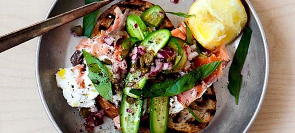 Grillet brød med varmrøget laks og ricotta ost