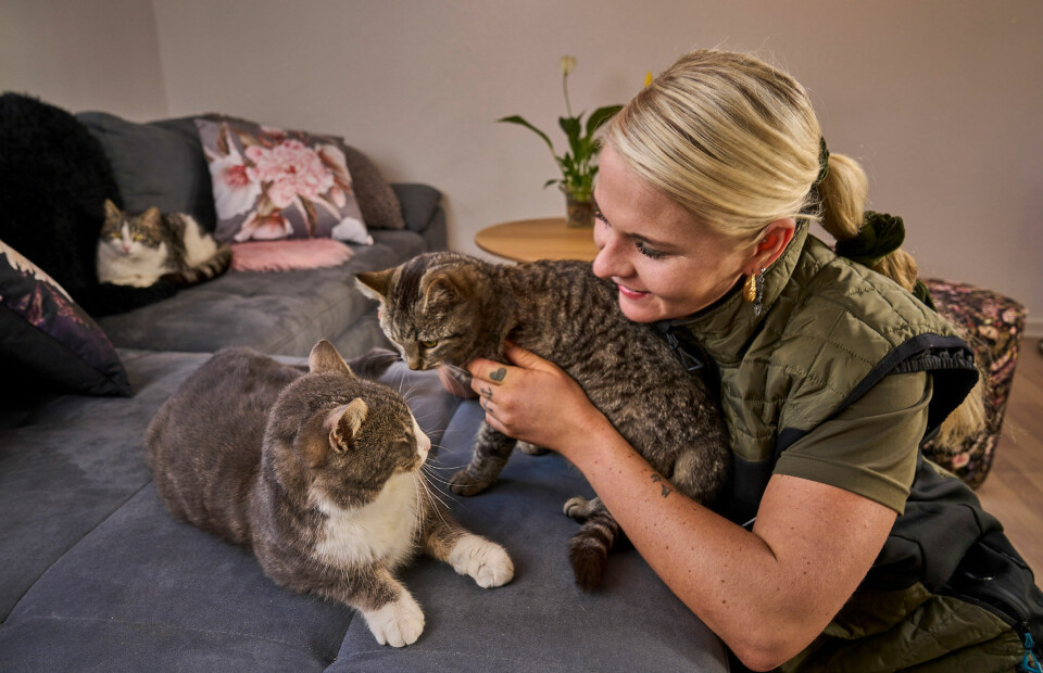 Martha Kjærsgaard katte