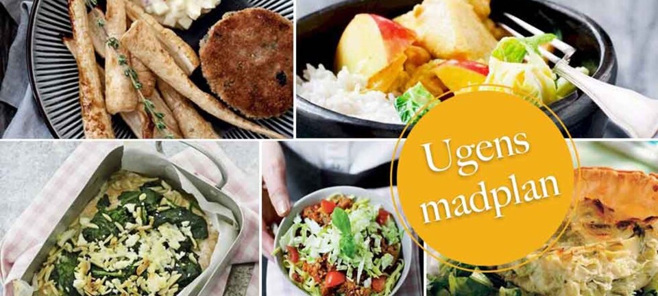 Nem porretærte, karrygryde med kylling & kål + skøn laks med spinat og mandler: Nem aftensmad til hele ugen