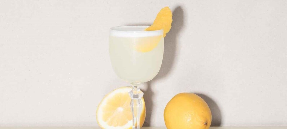 Sådan shaker du en White Lady cocktail