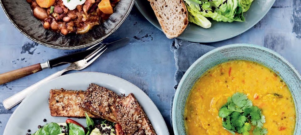 Nem & billig vegetarmad: Her er 4 gode opskrifter