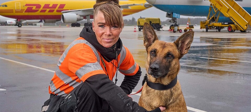 Midt i en svær tid fik Mette håbet igen sammen med sin hund: ”Med hende føler jeg mig god nok”