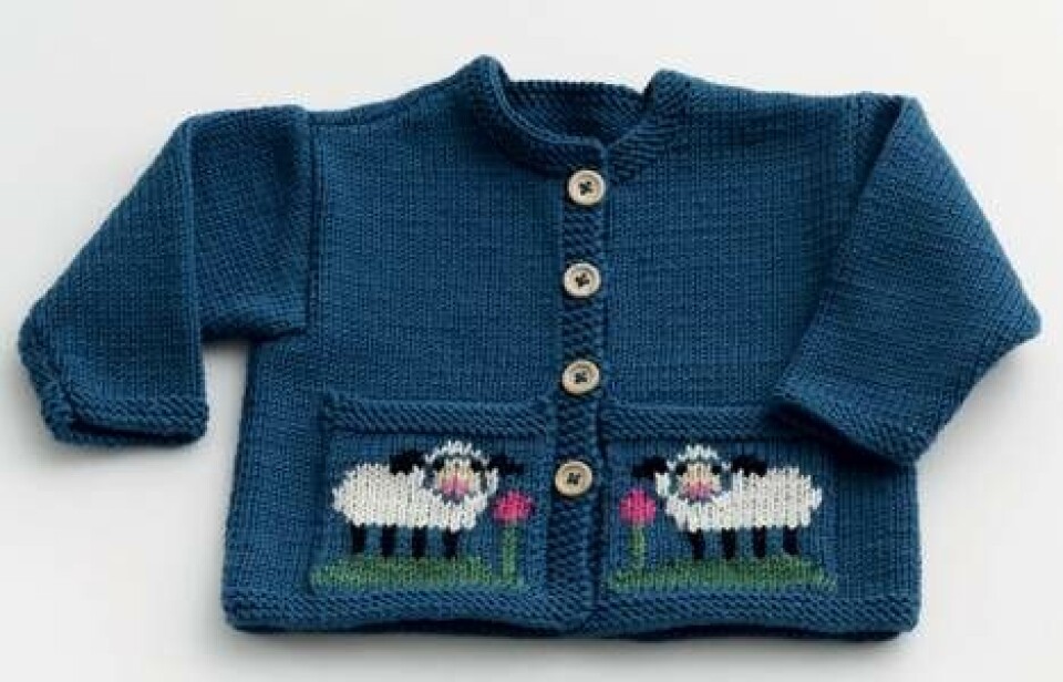 Den kæreste trøje og hue til baby