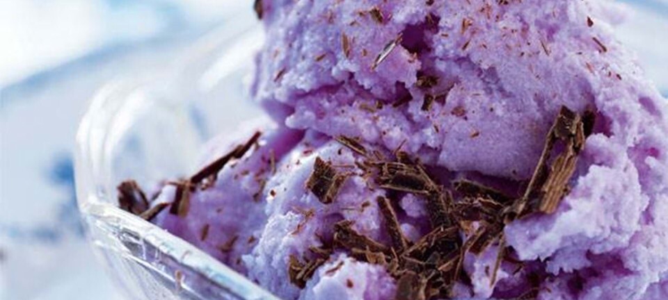 Rabarbersorbet med ingefær