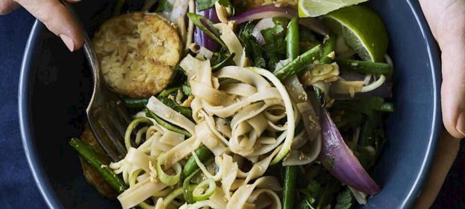 Lækker vegetarret: Stegte nudler med tempeh