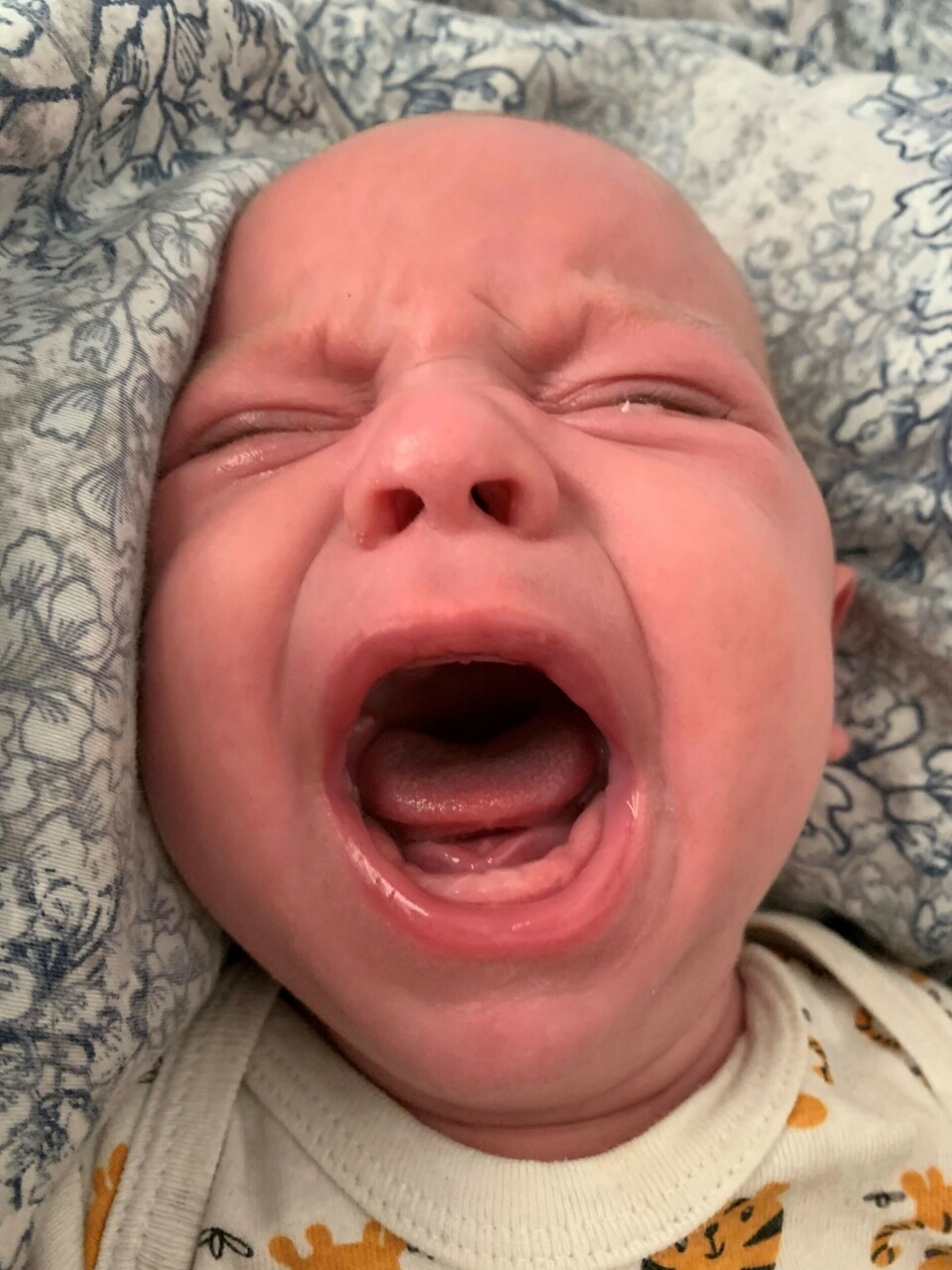 Baby med stramt tungebånd x.jpg