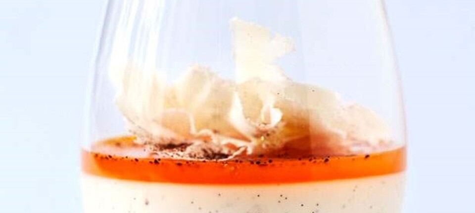 Panna cotta med havtorn og lakrids