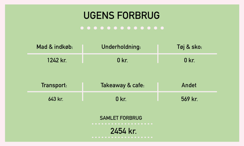 pengedagbøger_lisbeth_breakdown.jpg