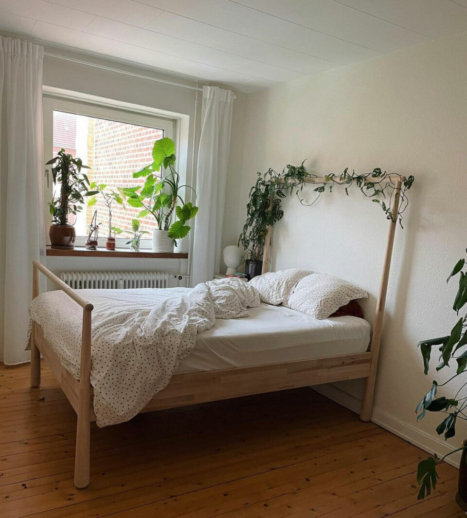 Planten, som slynger sig op af sengestellet, er en Monstera adansonii. Sengetøj fra Ellos og sengestel fra IKEA.