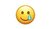 2020 emoji smiley med tåre ny.jpg
