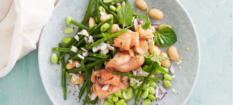 Røget ørred med bønnesalat og mynteyoghurt