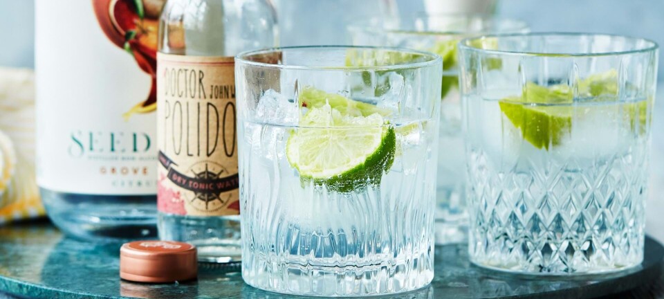 Nem alkoholfri drink: Virgin G&T