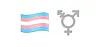 2020 emoji transkønnet symbol flag ny.jpg