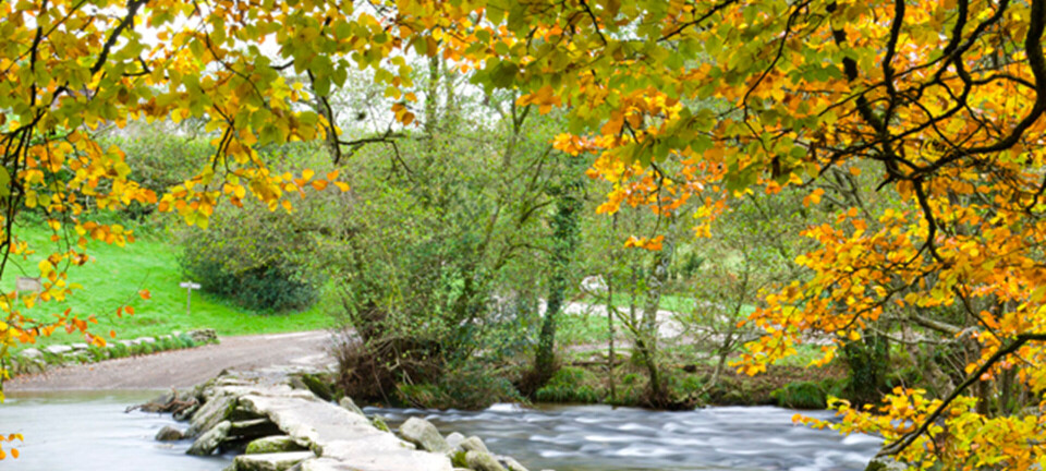 Hold spa-ferie i Skandinavien