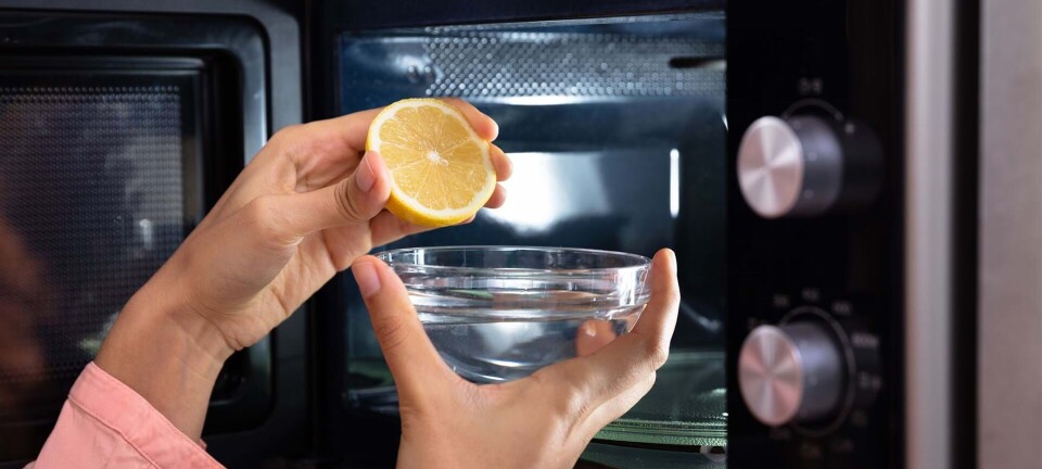 5 effektive rengøringsmidler fra køleskabet