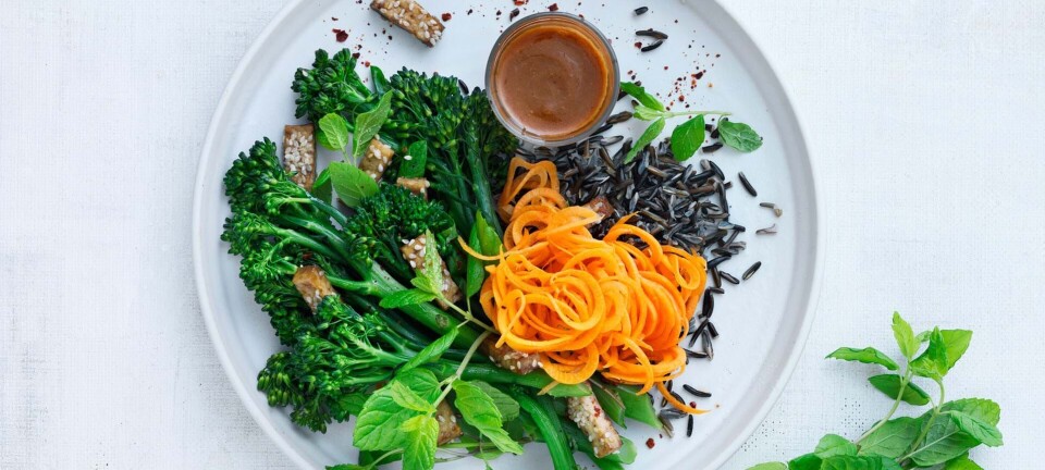 Sprød tofusalat med misodressing