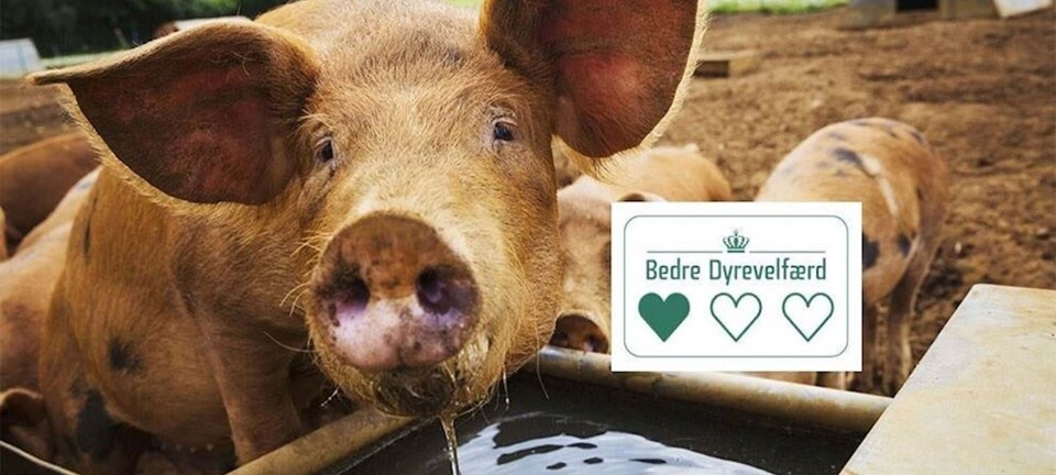 Nyt mærke på vej: Det betyder de tre hjerter på dit kød