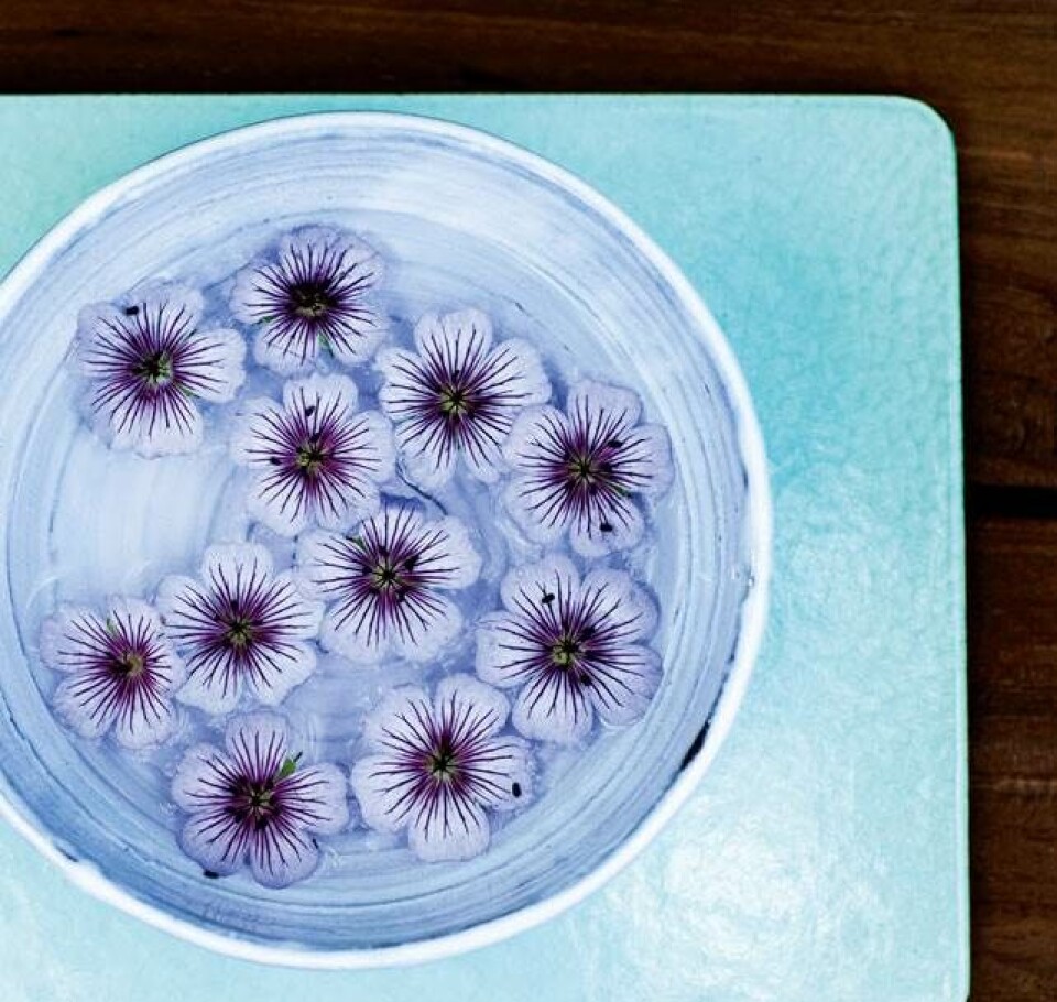 Nordisk hygge på terrassen