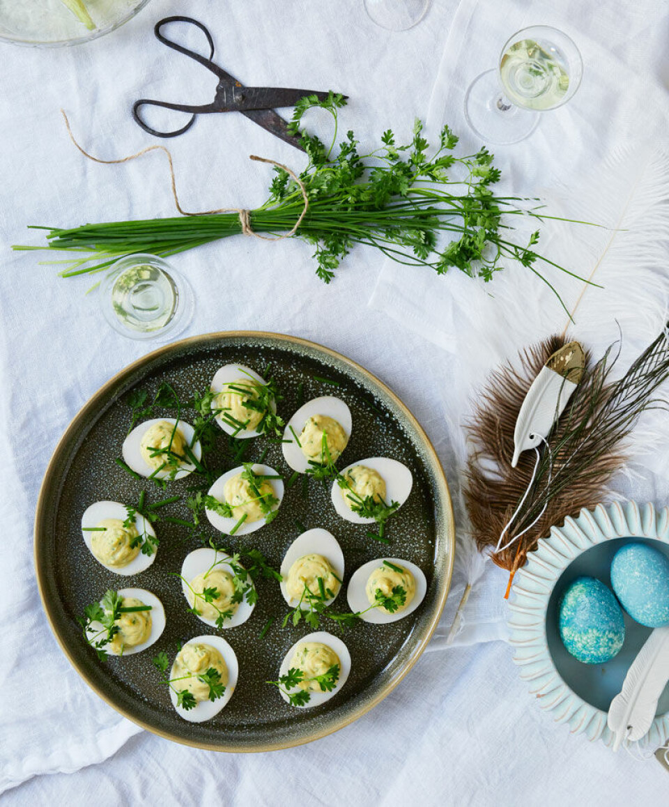 Solæg med kørvel og dijon