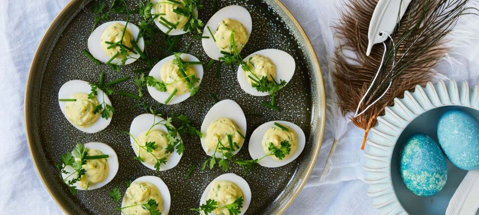 Solæg med kørvel og dijon