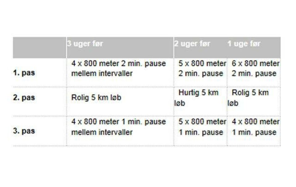 Panik-guide til DHL-stafetten