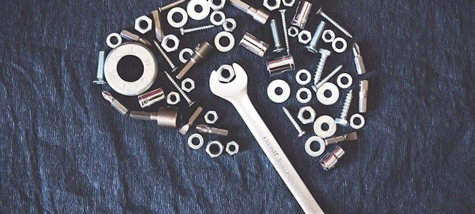 Sådan spiser du dig til en knivskarp hjerne